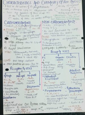Adrenergic agonist quick review notes