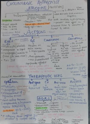 Cholinergic agonist+ antagonist notes (quick and comprehensive review) by pharmaco-study