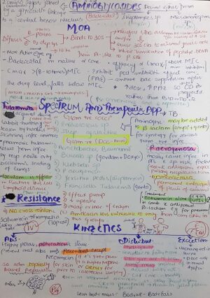 Protein synthesis inhibitors complete notes