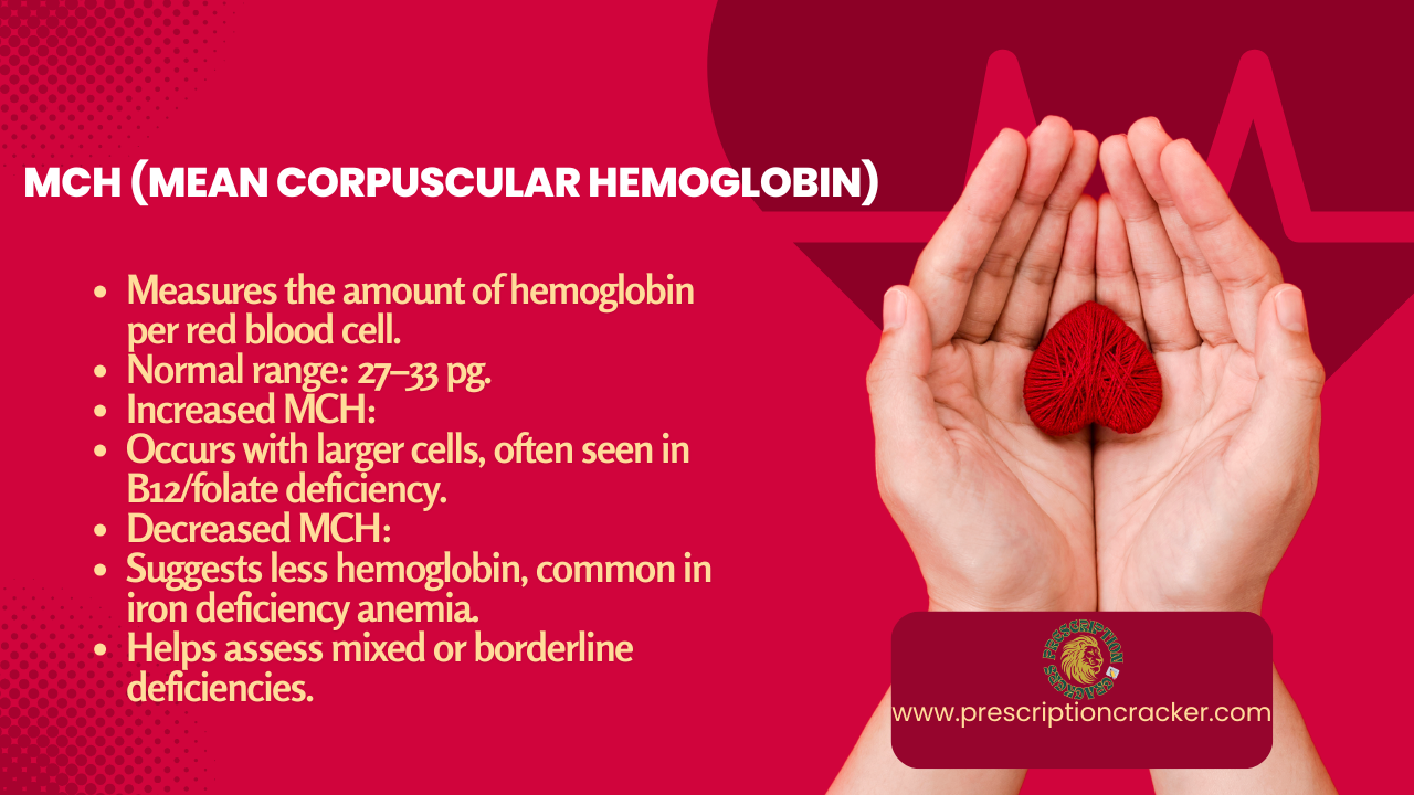 MCH (Mean Corpuscular Hemoglobin) Measures the amount of hemoglobin per red blood cell. Normal range: 27–33 pg. Increased MCH: Occurs with larger cells, often seen in B12/folate deficiency. Decreased MCH: Suggests less hemoglobin, common in iron deficiency anemia. Helps assess mixed or borderline deficiencies.