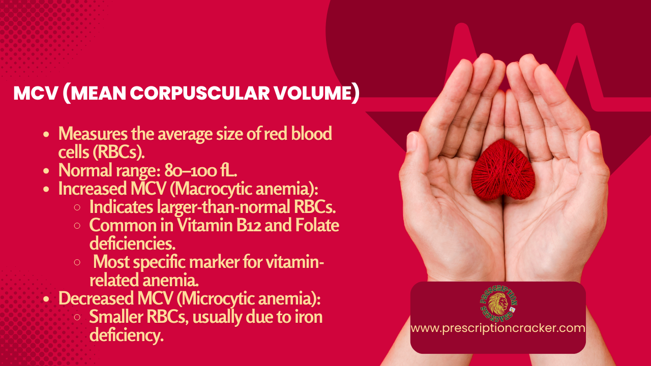 MCV (Mean Corpuscular Volume) Measures the average size of red blood cells (RBCs). Normal range: 80–100 fL. Increased MCV (Macrocytic anemia): Indicates larger-than-normal RBCs. Common in Vitamin B12 and Folate deficiencies. Most specific marker for vitamin-related anemia. Decreased MCV (Microcytic anemia): Smaller RBCs, usually due to iron deficiency.
