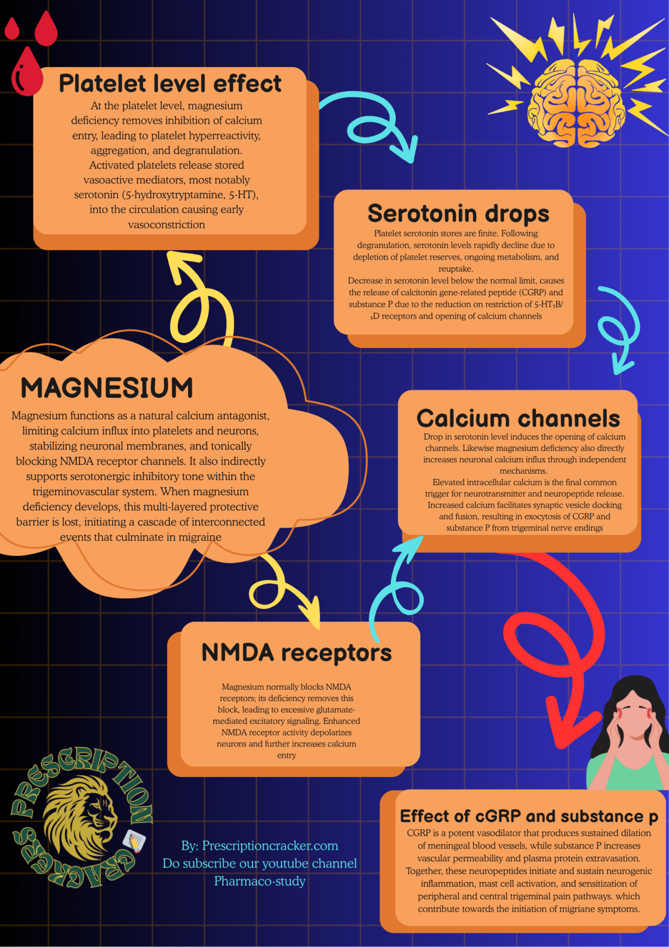 Why Triptans Work When Serotonin Fails: A Conflict backed by Magnesium ...