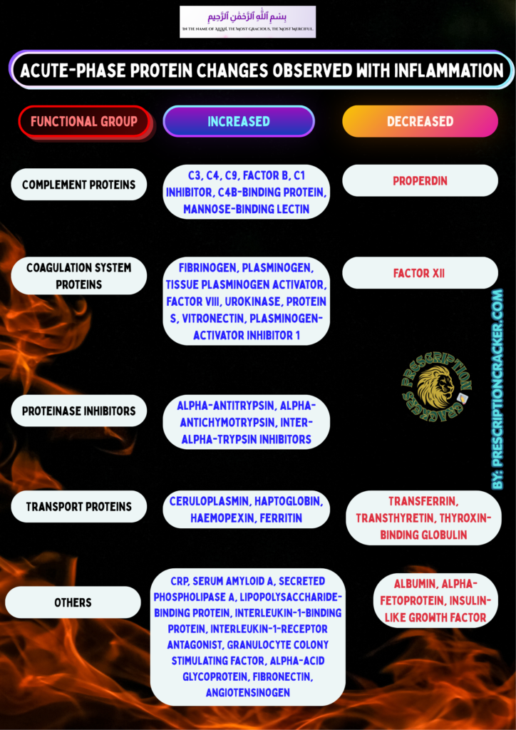 Table showing changes in acute-phase proteins during inflammation, categorized by functional groups with proteins that increase or decrease. Complement proteins: Increased: C3, C4, C9, Factor B, C1 inhibitor, C4b-binding protein, mannose-binding lectin, properdin Decreased: Properdin Coagulation system proteins: Increased: fibrinogen, plasminogen, tissue plasminogen activator, factor VIII, urokinase, protein S, vitronectin, plasminogen-activator inhibitor 1 Decreased: factor XII Proteinase inhibitors: Increased: alpha-antitrypsin, alpha-antichymotrypsin, inter-alpha-trypsin inhibitors Decreased: none listed Transport proteins: Increased: ceruloplasmin, haptoglobin, haemopexin, ferritin Decreased: transferrin, transthyretin, thyroxin-binding globulin Other proteins: Increased: C-reactive protein (CRP), serum amyloid A, secreted phospholipase A, lipopolysaccharide-binding protein, interleukin-1-binding protein, interleukin-1 receptor antagonist, granulocyte colony-stimulating factor, alpha-acid glycoprotein, fibronectin, angiotensinogen Decreased: albumin, alpha-fetoprotein, insulin-like growth factor (BY: PRESCRIPTIONCRACKER.COM)