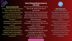 role of vitamin b12, b9 and iron