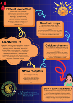 Why Triptans Work When Serotonin Fails: A Conflict backed by Magnesium-Driven Model of Migraine” Magnesium is a critical homeostatic ion that maintains vascular, platelet, and neuronal stability. Under physiological conditions, magnesium functions as a natural calcium antagonist, limiting calcium influx into platelets and neurons, stabilizing neuronal membranes, and tonically blocking NMDA receptor channels. It also indirectly supports serotonergic inhibitory tone within the trigeminovascular system. When magnesium deficiency develops, this multi-layered protective barrier is lost, initiating a cascade of interconnected events that culminate in migraine. At the platelet level, magnesium deficiency removes inhibition of calcium entry, leading to platelet hyperreactivity, aggregation, and degranulation. Activated platelets release stored vasoactive mediators, most notably serotonin (5-hydroxytryptamine, 5-HT), into the circulation. This serotonin release is abrupt, unregulated, and occurs primarily within the vascular compartment. Circulating serotonin preferentially activates vascular 5-HT₂ receptors, which are readily accessible from the bloodstream, producing transient vasoconstriction of cerebral and meningeal vessels. This early vasoconstrictive phase corresponds clinically to prodromal migraine features. However, platelet serotonin stores are finite. Following degranulation, serotonin levels rapidly decline due to depletion of platelet reserves, ongoing metabolism, and reuptake. Thus, migraine physiology is marked not by sustained serotonin elevation, but by a sharp rise followed by a pronounced fall in serotonin availability. This decline in serotonin represents a pivotal transition point in migraine pathogenesis. Under normal conditions, a steady background level of serotonin is present around the trigeminal nerves that supply the meninges (the coverings of the brain). This serotonin is not meant to trigger pain or pleasure here; instead, it acts quietly in the background to keep these nerves calm and under control. Serotonin does this by attaching to special receptors called 5-HT₁B and 5-HT₁D receptors, which sit on the endings of trigeminal sensory nerve fibers. These nerve endings are the same ones that release pain-producing chemicals during a migraine. When serotonin binds to these receptors, it sends a “slow down” signal into the nerve. Inside the nerve cell, this signal switches off pathways that normally make the neuron excitable. It lowers the level of chemical messengers that promote firing, reduces the entry of calcium into the nerve ending, and blocks the machinery that releases stored neurotransmitters. In simple terms, the nerve becomes less jumpy and less likely to fire. Because calcium entry is reduced, the nerve cannot easily release pain-related substances like CGRP and substance P. These substances are powerful migraine triggers because they dilate blood vessels, inflame surrounding tissues, and amplify pain signals. By preventing their release, serotonin keeps the trigeminal system quiet and helps stop migraine attacks from starting. So, under healthy conditions, serotonin acts like a protective gatekeeper. It doesn’t eliminate pain completely, but it sets a threshold that prevents harmless stimuli from turning into a full migraine. When serotonin levels drop or its signaling is impaired—as happens in menstrual migraine or magnesium deficiency—this inhibitory brake is lost, and the trigeminal nerves can easily become overactive, leading to CGRP release and migraine pain. When serotonin levels fall after platelet depletion, this inhibitory restraint is removed. Reduced stimulation of 5-HT₁B/₁D receptors leads to disinhibition of trigeminal neurons, allowing calcium channels to open more readily during neuronal activation. The loss of serotonergic control therefore indirectly enhances calcium influx into trigeminal nerve terminals. Simultaneously, magnesium deficiency directly increases neuronal calcium influx through independent mechanisms. Magnesium normally blocks NMDA receptors; its deficiency removes this block, leading to excessive glutamate-mediated excitatory signaling. Enhanced NMDA receptor activity depolarizes neurons and further increases calcium entry. In addition, magnesium deficiency reduces the threshold for activation of voltage-gated calcium channels, amplifying calcium influx during action potentials. Thus, magnesium deficiency promotes neuronal calcium overload through both direct ionic effects and indirect loss of inhibitory serotonergic control. Elevated intracellular calcium is the final common trigger for neurotransmitter and neuropeptide release. Increased calcium facilitates synaptic vesicle docking and fusion, resulting in exocytosis of CGRP and substance P from trigeminal nerve endings. CGRP is a potent vasodilator that produces sustained dilation of meningeal blood vessels, while substance P increases vascular permeability and plasma protein extravasation. Together, these neuropeptides initiate and sustain neurogenic inflammation, mast cell activation, and sensitization of peripheral and central trigeminal pain pathways. Clinically, this stage corresponds to the pain phase of migraine, characterized by throbbing headache, photophobia, phonophobia, nausea, and central sensitization. By this time, serotonin levels are already low, explaining why vasodilation and inflammation dominate rather than vasoconstriction. CGRP becomes the principal driver of migraine pain and associated symptoms. This integrated cascade also explains the apparent paradox between endogenous serotonin and triptan therapy. Platelet-derived serotonin released during magnesium deficiency is non-selective, short-lived, and largely confined to vascular receptors, failing to provide sustained inhibitory control over trigeminal neurons. In contrast, triptans such as sumatriptan are selective 5-HT₁B/₁D receptor agonists that directly restore inhibitory restraint at trigeminal nerve terminals. By re-inhibiting calcium channels and suppressing CGRP and substance P release, triptans abort migraine attacks despite low endogenous serotonin levels. In summary, magnesium deficiency initiates migraine by removing platelet and neuronal calcium regulation, triggering platelet aggregation and serotonin release followed by serotonin depletion, abolishing serotonergic inhibitory restraint on trigeminal neurons, enhancing glutamate-NMDA excitotoxicity, and directly increasing neuronal calcium influx. These converging mechanisms culminate in excessive CGRP and substance P release, producing neurogenic inflammation, vasodilation, and migraine pain. This unified model explains why magnesium supplementation is effective in migraine prevention, while triptans are effective in acute migraine termination.