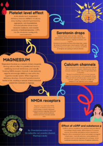 Why Triptans Work When Serotonin Fails: A Conflict backed by Magnesium-Driven Model of Migraine” Magnesium is a critical homeostatic ion that maintains vascular, platelet, and neuronal stability. Under physiological conditions, magnesium functions as a natural calcium antagonist, limiting calcium influx into platelets and neurons, stabilizing neuronal membranes, and tonically blocking NMDA receptor channels. It also indirectly supports serotonergic inhibitory tone within the trigeminovascular system. When magnesium deficiency develops, this multi-layered protective barrier is lost, initiating a cascade of interconnected events that culminate in migraine. At the platelet level, magnesium deficiency removes inhibition of calcium entry, leading to platelet hyperreactivity, aggregation, and degranulation. Activated platelets release stored vasoactive mediators, most notably serotonin (5-hydroxytryptamine, 5-HT), into the circulation. This serotonin release is abrupt, unregulated, and occurs primarily within the vascular compartment. Circulating serotonin preferentially activates vascular 5-HT₂ receptors, which are readily accessible from the bloodstream, producing transient vasoconstriction of cerebral and meningeal vessels. This early vasoconstrictive phase corresponds clinically to prodromal migraine features. However, platelet serotonin stores are finite. Following degranulation, serotonin levels rapidly decline due to depletion of platelet reserves, ongoing metabolism, and reuptake. Thus, migraine physiology is marked not by sustained serotonin elevation, but by a sharp rise followed by a pronounced fall in serotonin availability. This decline in serotonin represents a pivotal transition point in migraine pathogenesis. Under normal conditions, a steady background level of serotonin is present around the trigeminal nerves that supply the meninges (the coverings of the brain). This serotonin is not meant to trigger pain or pleasure here; instead, it acts quietly in the background to keep these nerves calm and under control. Serotonin does this by attaching to special receptors called 5-HT₁B and 5-HT₁D receptors, which sit on the endings of trigeminal sensory nerve fibers. These nerve endings are the same ones that release pain-producing chemicals during a migraine. When serotonin binds to these receptors, it sends a “slow down” signal into the nerve. Inside the nerve cell, this signal switches off pathways that normally make the neuron excitable. It lowers the level of chemical messengers that promote firing, reduces the entry of calcium into the nerve ending, and blocks the machinery that releases stored neurotransmitters. In simple terms, the nerve becomes less jumpy and less likely to fire. Because calcium entry is reduced, the nerve cannot easily release pain-related substances like CGRP and substance P. These substances are powerful migraine triggers because they dilate blood vessels, inflame surrounding tissues, and amplify pain signals. By preventing their release, serotonin keeps the trigeminal system quiet and helps stop migraine attacks from starting. So, under healthy conditions, serotonin acts like a protective gatekeeper. It doesn’t eliminate pain completely, but it sets a threshold that prevents harmless stimuli from turning into a full migraine. When serotonin levels drop or its signaling is impaired—as happens in menstrual migraine or magnesium deficiency—this inhibitory brake is lost, and the trigeminal nerves can easily become overactive, leading to CGRP release and migraine pain. When serotonin levels fall after platelet depletion, this inhibitory restraint is removed. Reduced stimulation of 5-HT₁B/₁D receptors leads to disinhibition of trigeminal neurons, allowing calcium channels to open more readily during neuronal activation. The loss of serotonergic control therefore indirectly enhances calcium influx into trigeminal nerve terminals. Simultaneously, magnesium deficiency directly increases neuronal calcium influx through independent mechanisms. Magnesium normally blocks NMDA receptors; its deficiency removes this block, leading to excessive glutamate-mediated excitatory signaling. Enhanced NMDA receptor activity depolarizes neurons and further increases calcium entry. In addition, magnesium deficiency reduces the threshold for activation of voltage-gated calcium channels, amplifying calcium influx during action potentials. Thus, magnesium deficiency promotes neuronal calcium overload through both direct ionic effects and indirect loss of inhibitory serotonergic control. Elevated intracellular calcium is the final common trigger for neurotransmitter and neuropeptide release. Increased calcium facilitates synaptic vesicle docking and fusion, resulting in exocytosis of CGRP and substance P from trigeminal nerve endings. CGRP is a potent vasodilator that produces sustained dilation of meningeal blood vessels, while substance P increases vascular permeability and plasma protein extravasation. Together, these neuropeptides initiate and sustain neurogenic inflammation, mast cell activation, and sensitization of peripheral and central trigeminal pain pathways. Clinically, this stage corresponds to the pain phase of migraine, characterized by throbbing headache, photophobia, phonophobia, nausea, and central sensitization. By this time, serotonin levels are already low, explaining why vasodilation and inflammation dominate rather than vasoconstriction. CGRP becomes the principal driver of migraine pain and associated symptoms. This integrated cascade also explains the apparent paradox between endogenous serotonin and triptan therapy. Platelet-derived serotonin released during magnesium deficiency is non-selective, short-lived, and largely confined to vascular receptors, failing to provide sustained inhibitory control over trigeminal neurons. In contrast, triptans such as sumatriptan are selective 5-HT₁B/₁D receptor agonists that directly restore inhibitory restraint at trigeminal nerve terminals. By re-inhibiting calcium channels and suppressing CGRP and substance P release, triptans abort migraine attacks despite low endogenous serotonin levels. In summary, magnesium deficiency initiates migraine by removing platelet and neuronal calcium regulation, triggering platelet aggregation and serotonin release followed by serotonin depletion, abolishing serotonergic inhibitory restraint on trigeminal neurons, enhancing glutamate-NMDA excitotoxicity, and directly increasing neuronal calcium influx. These converging mechanisms culminate in excessive CGRP and substance P release, producing neurogenic inflammation, vasodilation, and migraine pain. This unified model explains why magnesium supplementation is effective in migraine prevention, while triptans are effective in acute migraine termination.